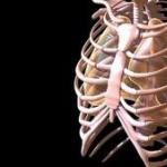 Движение грудной. Наталья Королёва. Грудная клетка и дыхание. Особенности строения и возрастные изменения